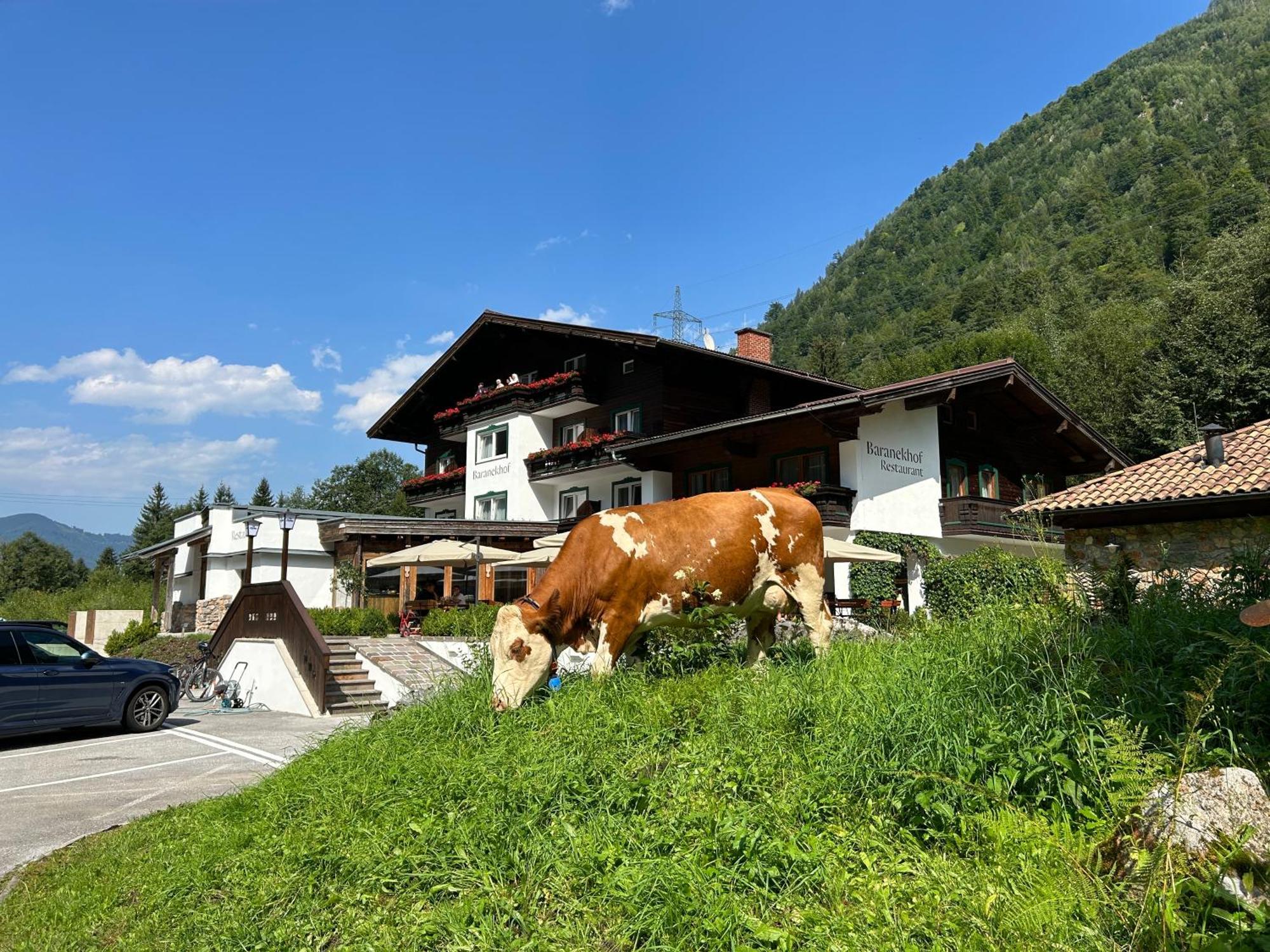 Pension Baranekhof - Accommodation In Nature - Baranek Resorts Kaprun Exterior photo